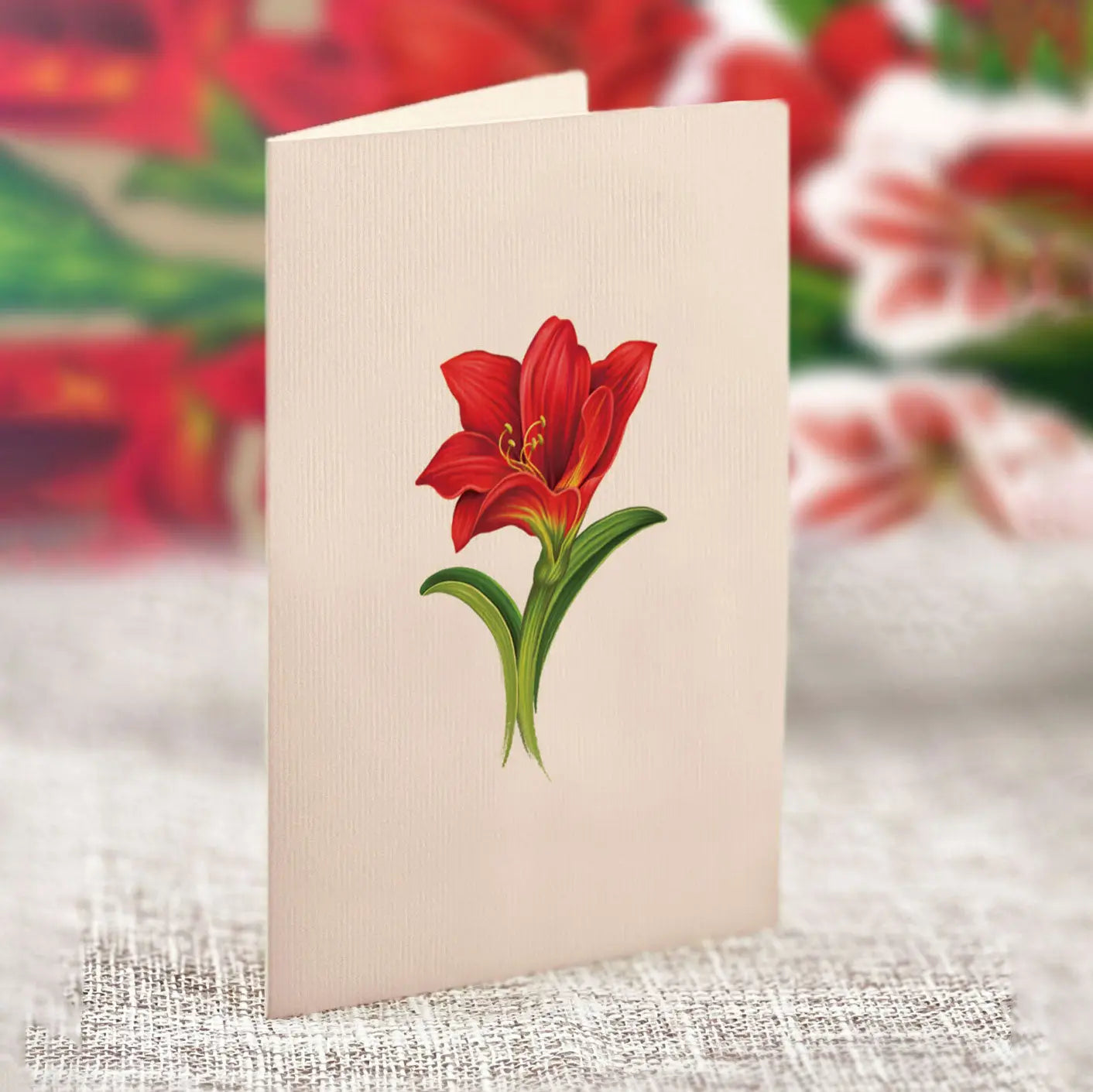 Mini Christmas Scarlet Amaryllis Pop-Up Card