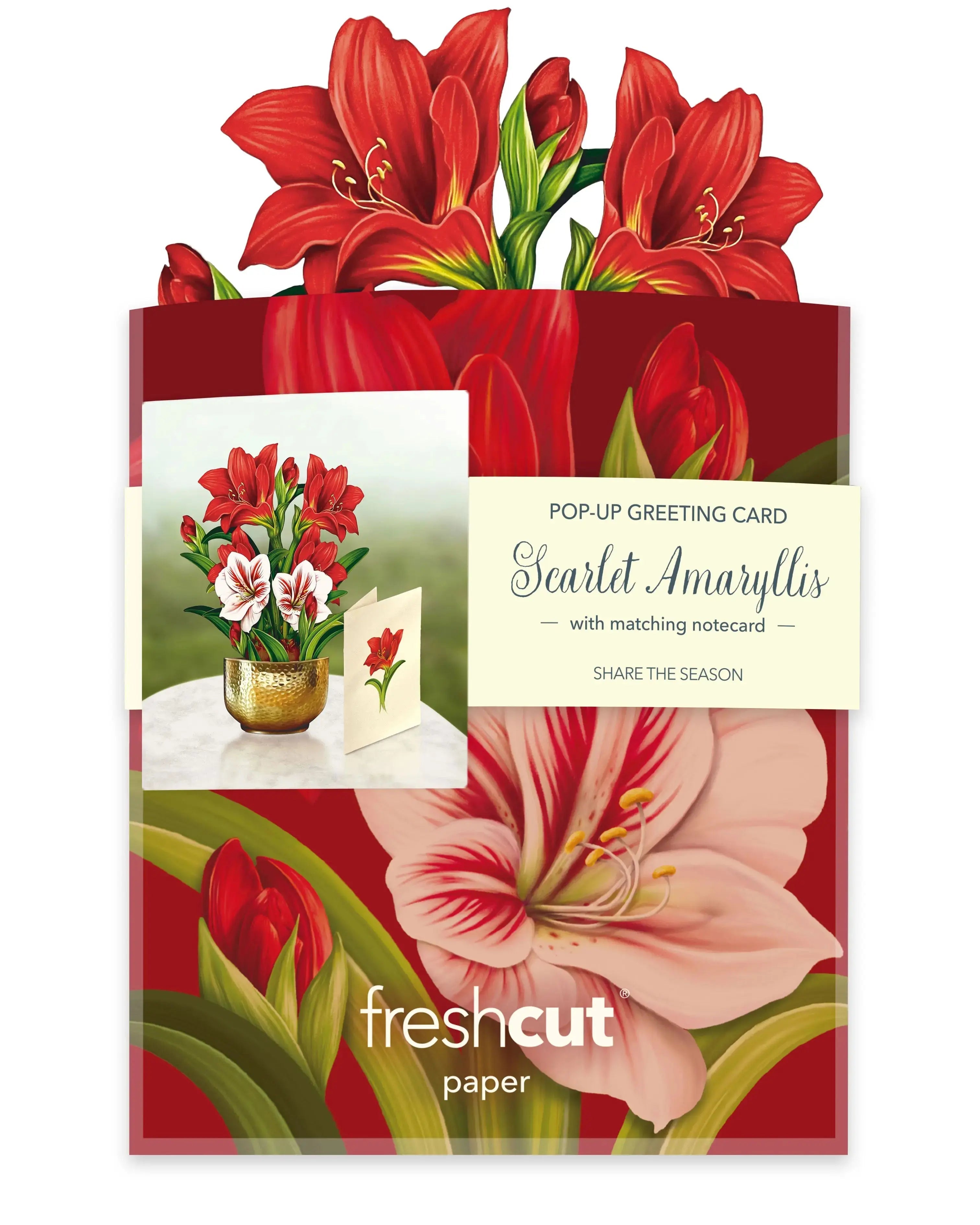 Mini Christmas Scarlet Amaryllis Pop-Up Card