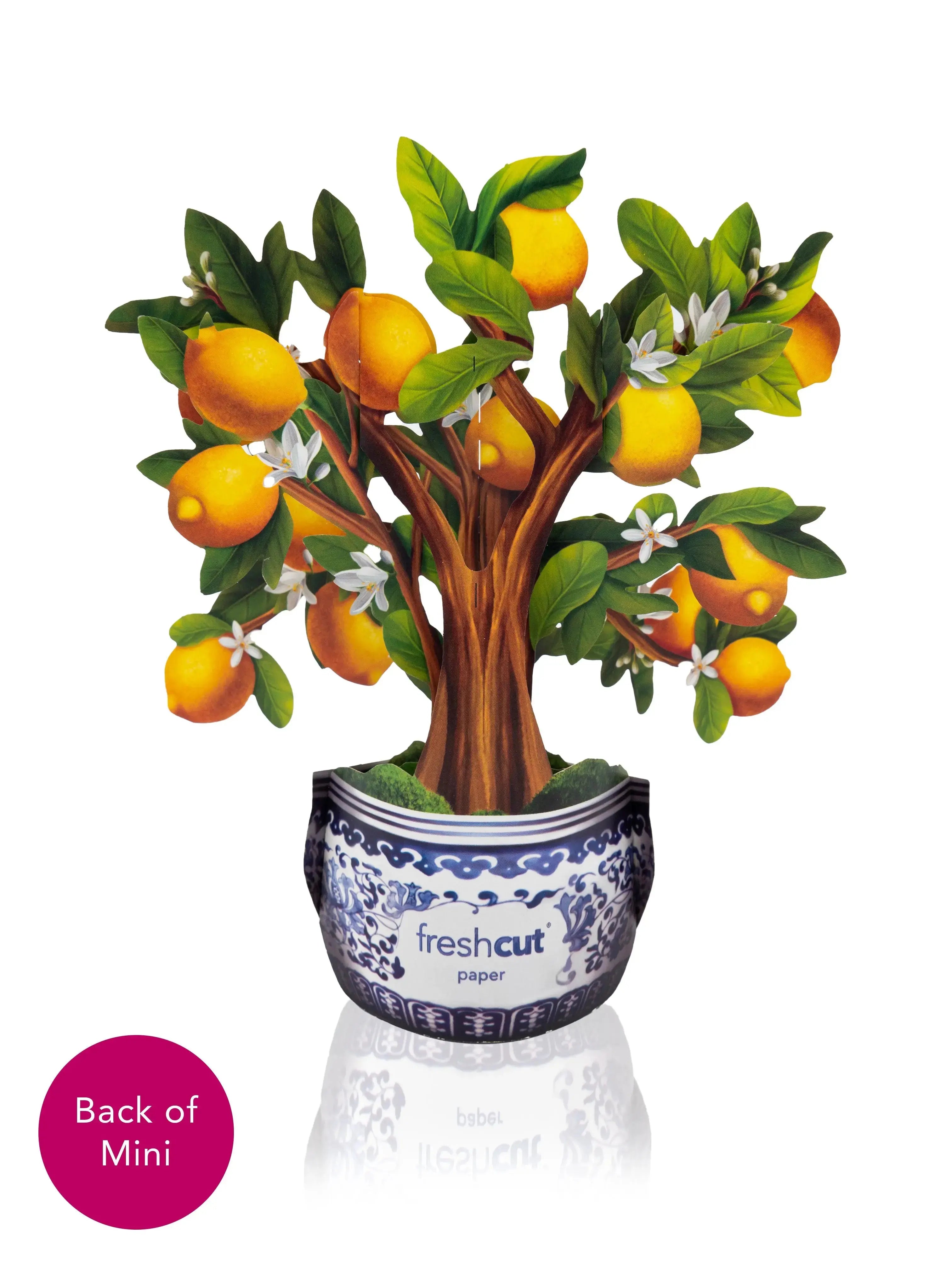 Mini Lemon Blossom Tree Pop-Up Card