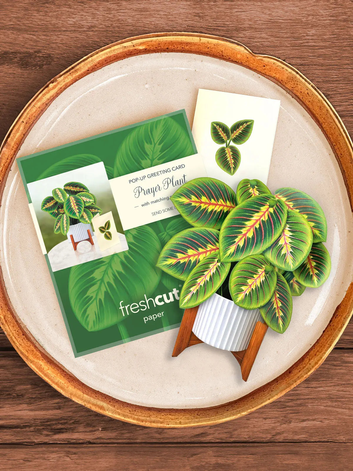 Mini Prayer Plant Pop-Up Card