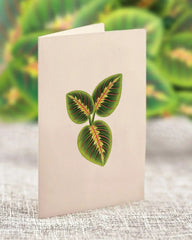 Mini Prayer Plant Pop-Up Card