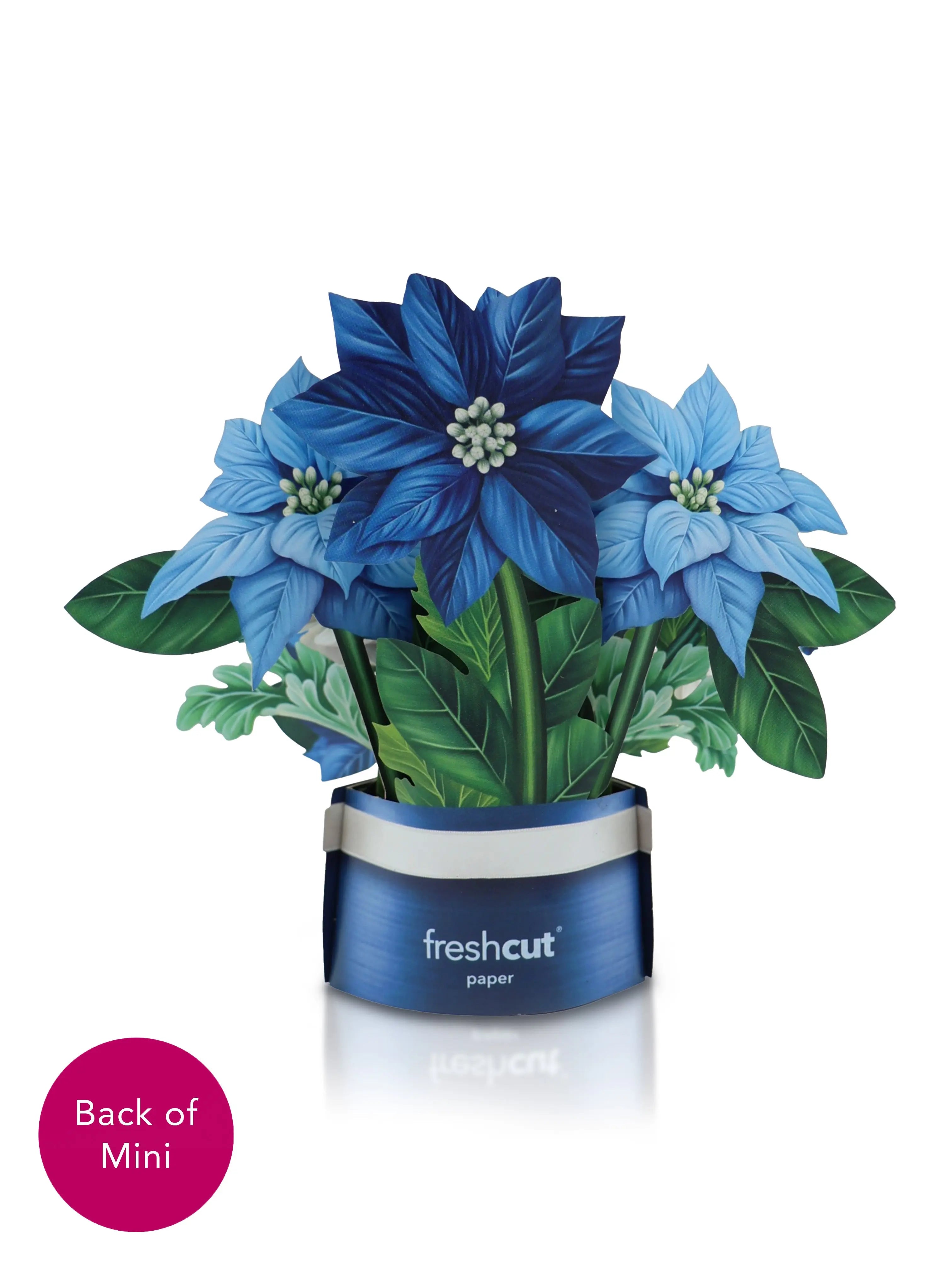 Mini Blue Poinsettia Pop-Up Card