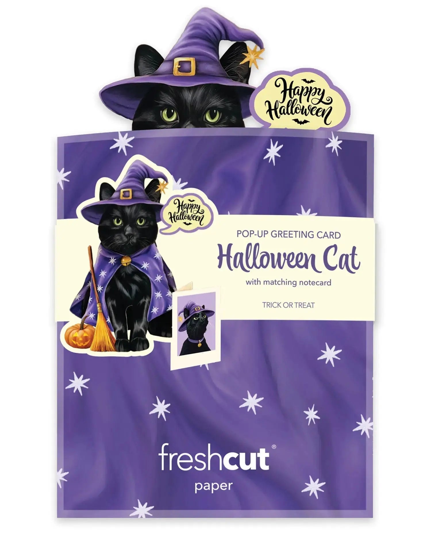 Mini Halloween Cat Pop-Up Card