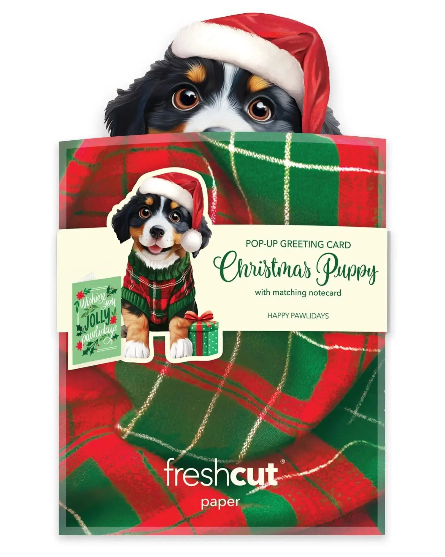 Mini Christmas Puppy Pop-Up Card