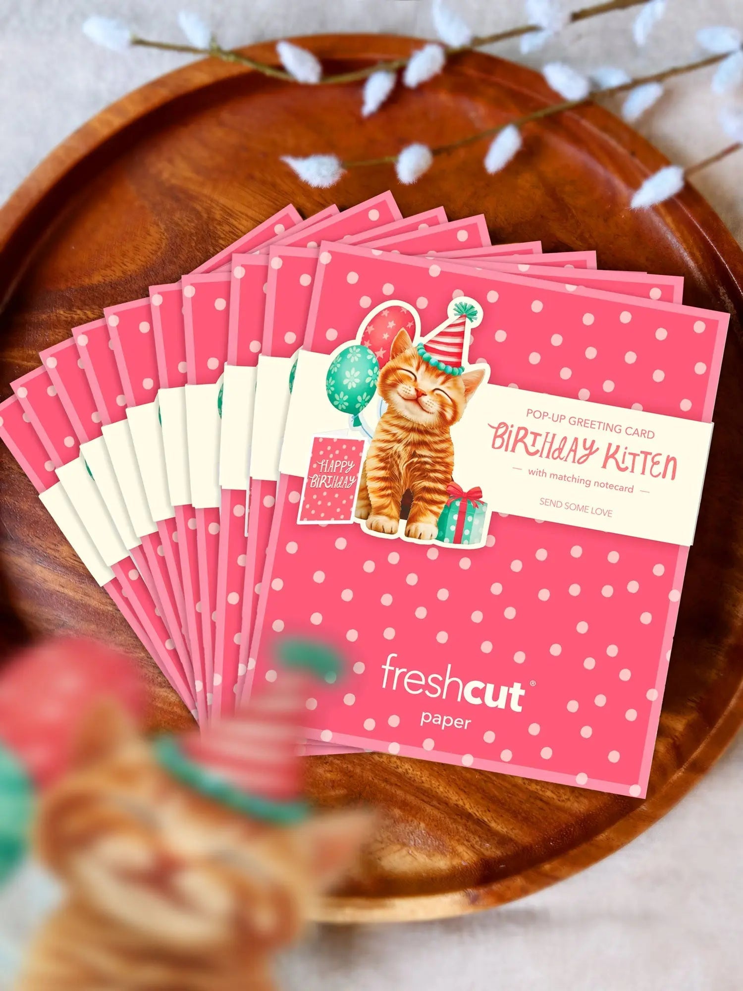 Mini Birthday Kitten Pop-Up Card