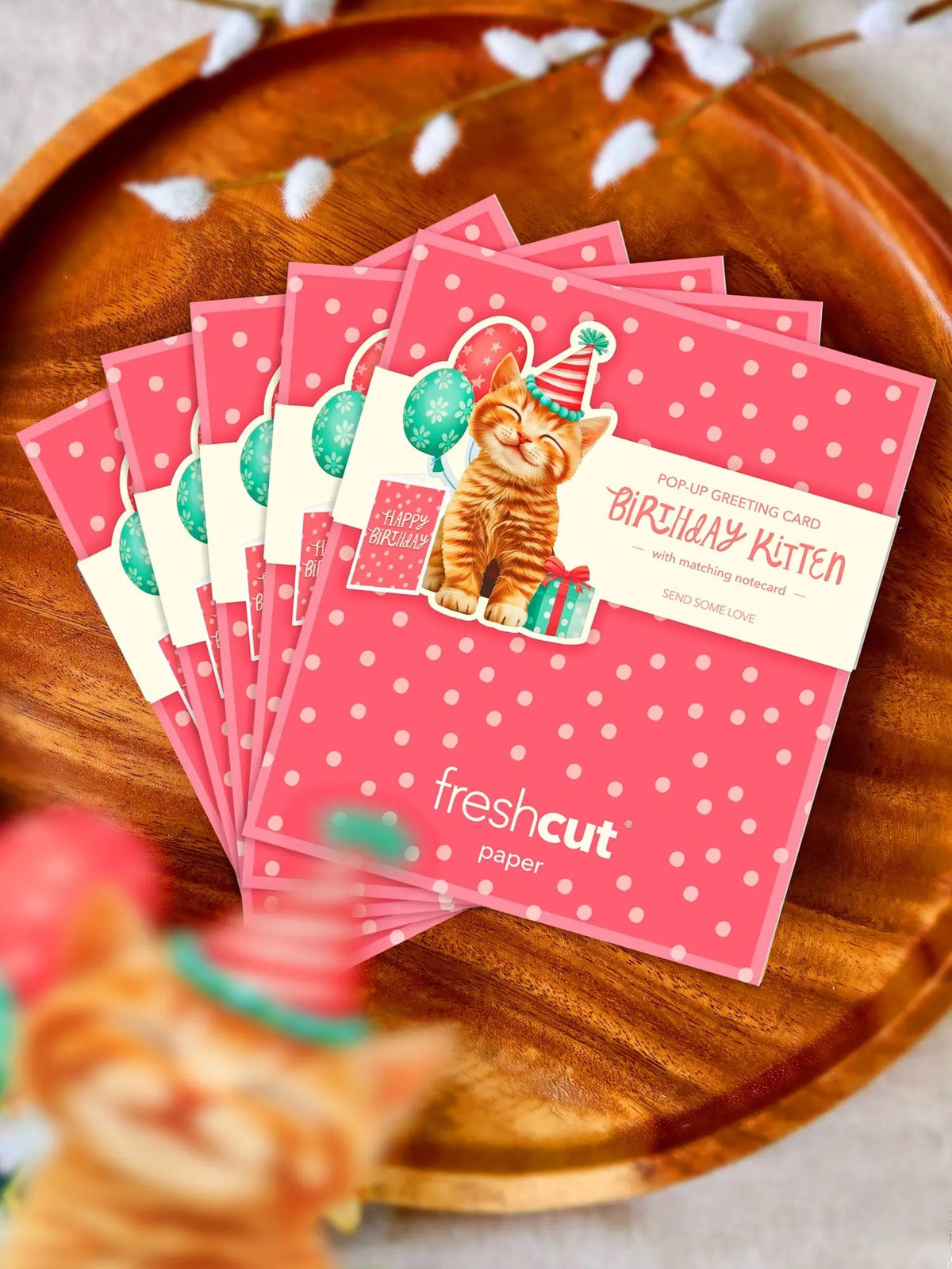 Mini Birthday Kitten Pop-Up Card