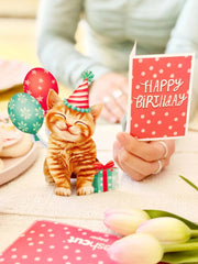 Mini Birthday Kitten Pop-Up Card