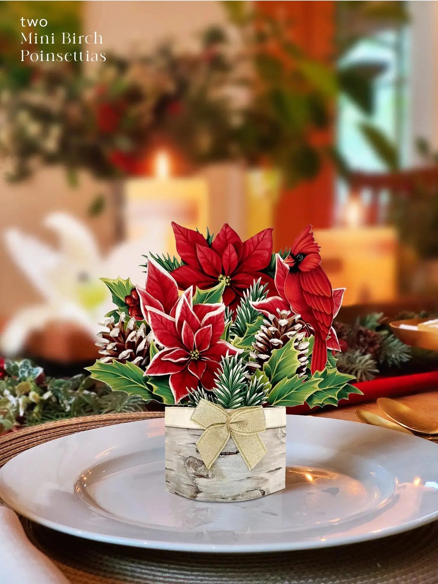 Holiday Essentials Bundle