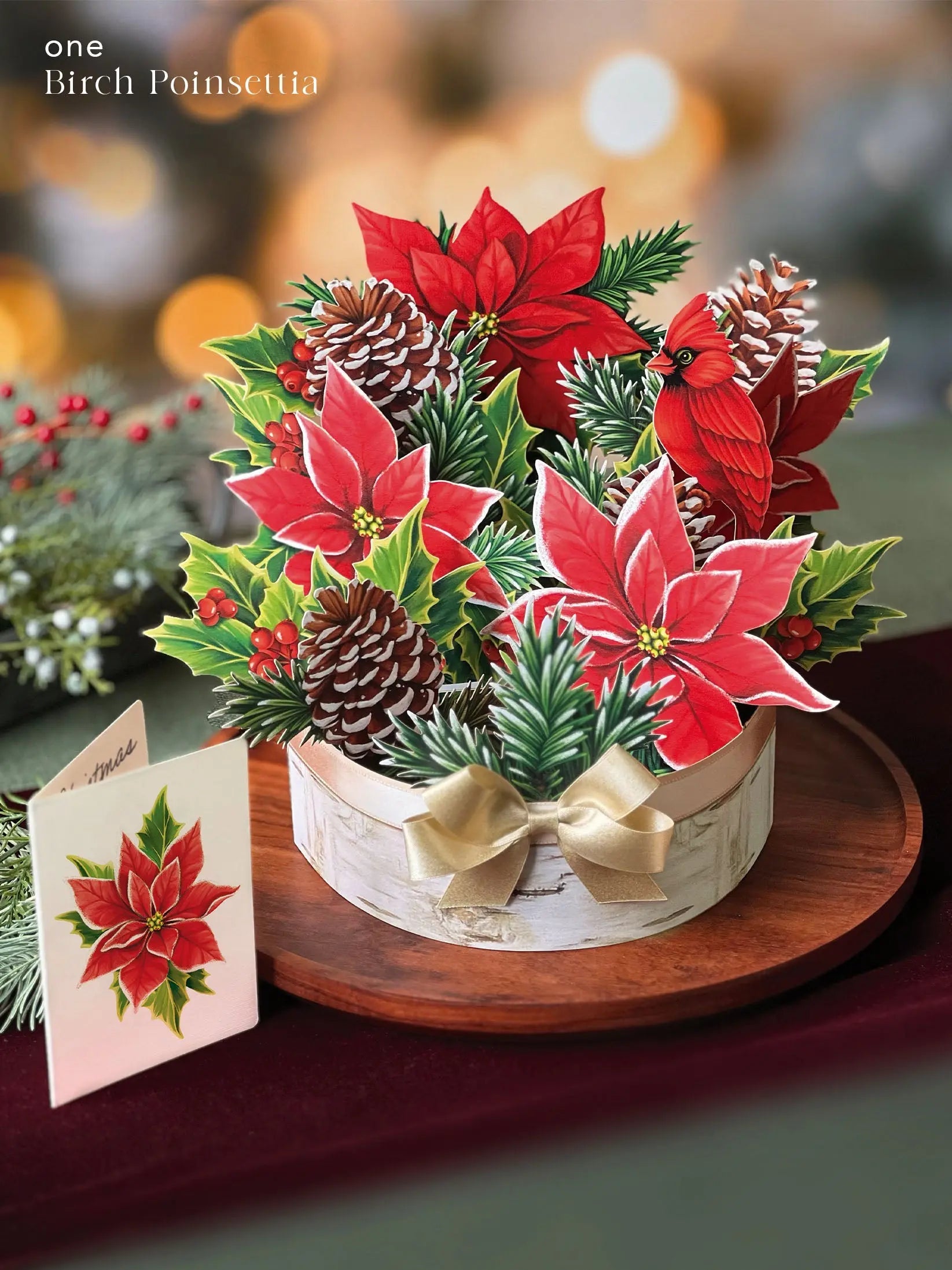 Holiday Essentials Bundle