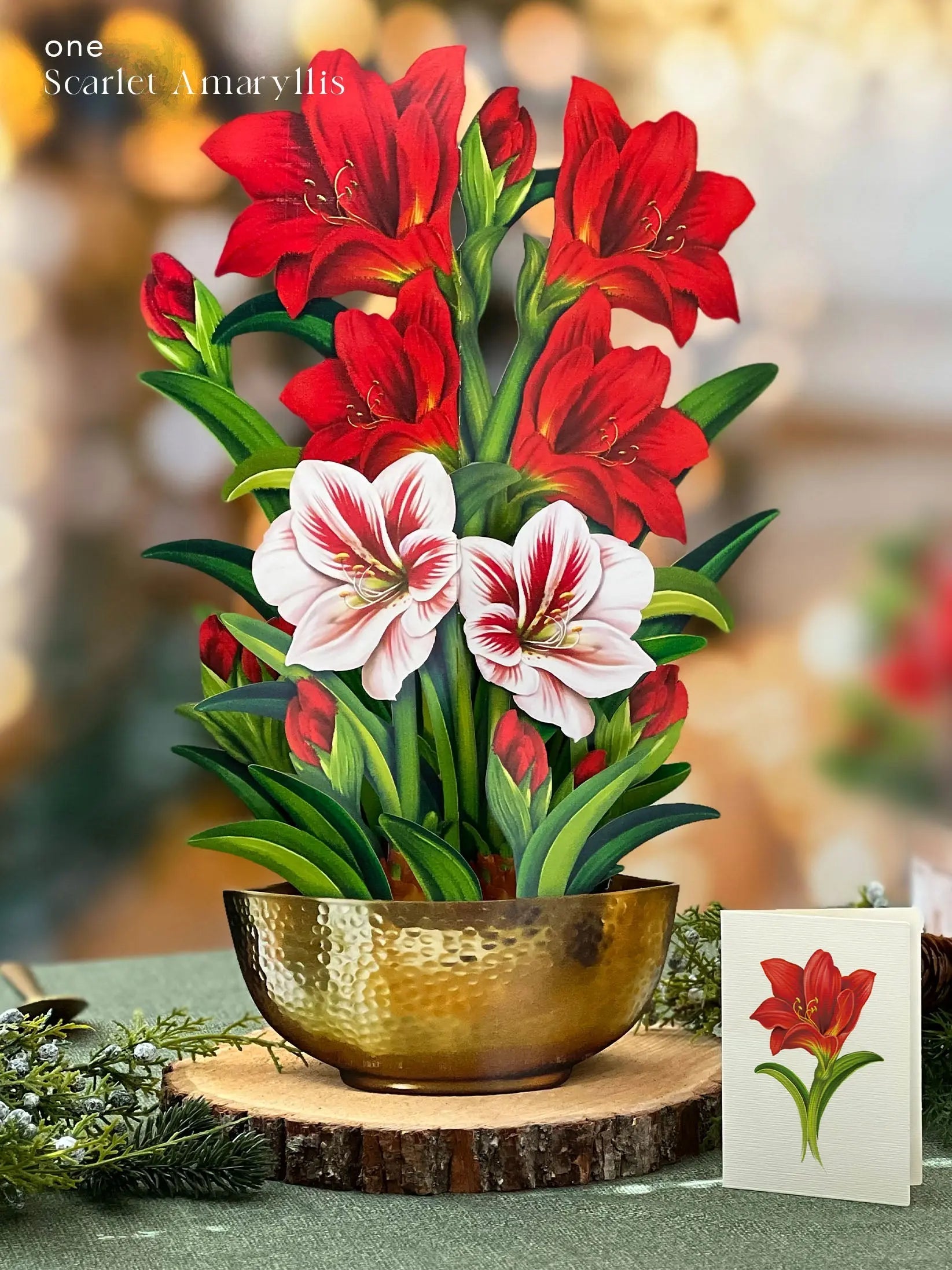 Holiday Essentials Bundle