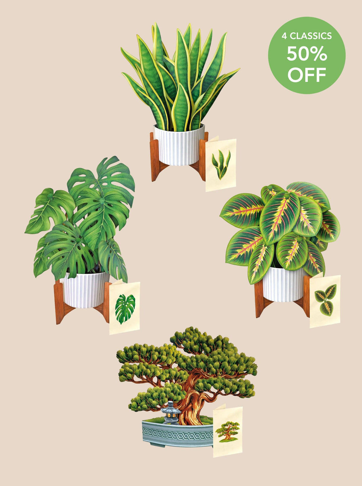 Classic Houseplants Bundle