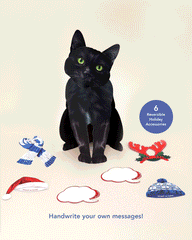 Holiday Black Cat Pop-Up Card