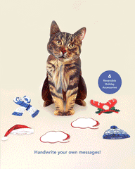 Holiday Brown Tabby Cat Pop-Up Card