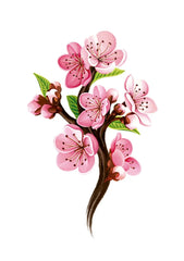 Cherry Blossom Card