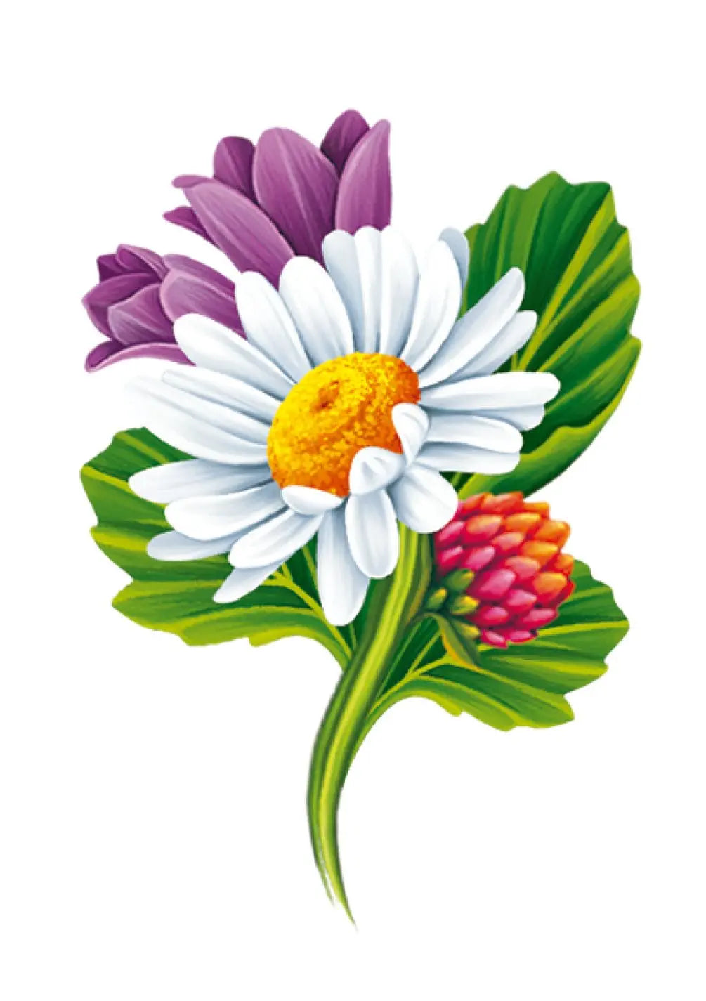 Daisies Card