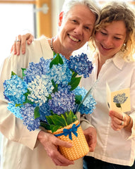 Grande Nantucket Hydrangea