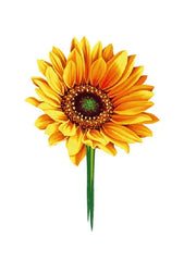 Harvest Sunflower Card