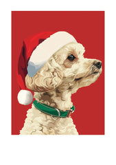 Holiday Poodle Card