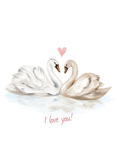 Love Swans Card