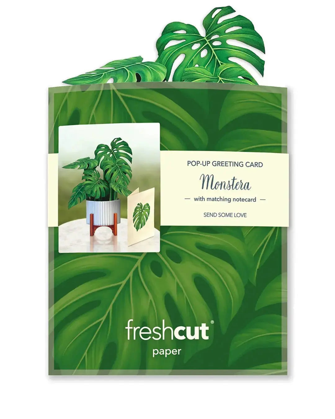 Mini Monstera Pop-Up Card