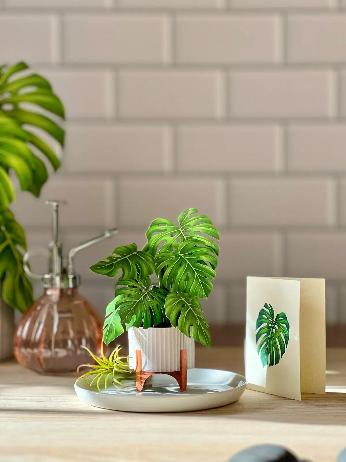 Mini Monstera Pop-Up Card