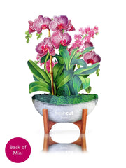 Mini Orchid Oasis Pop-Up Card