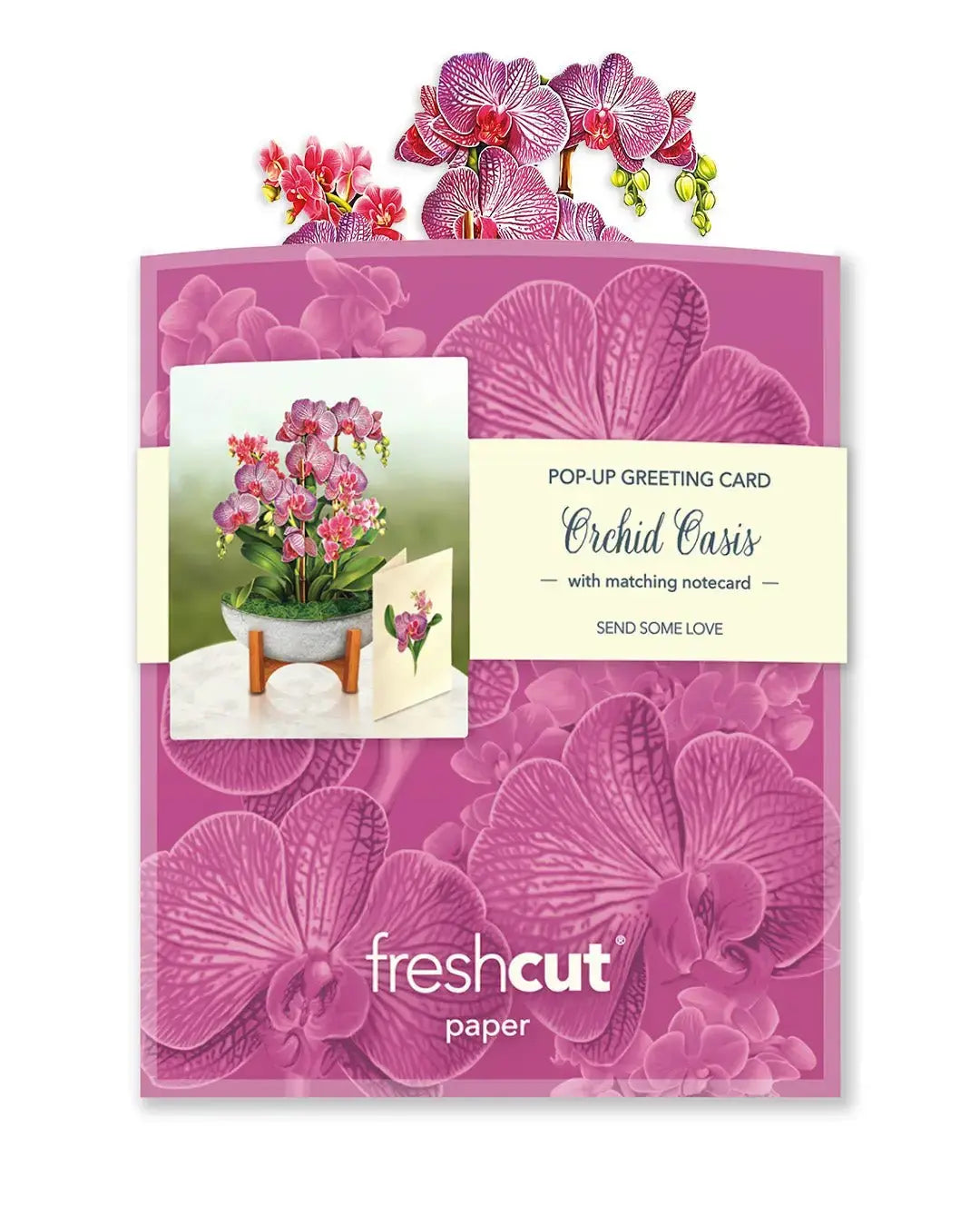 Mini Orchid Oasis Pop-Up Card