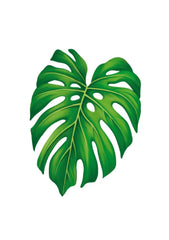 Monstera Card