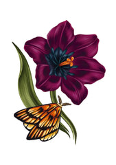 Moonlight Tulip Card