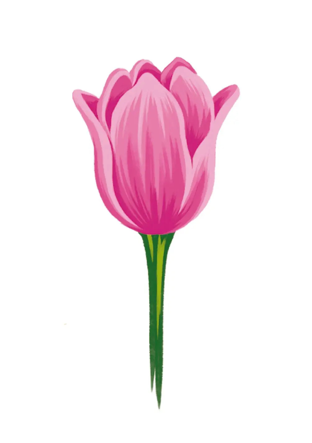 Pink Tulip Card