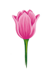 Pink Tulip Card