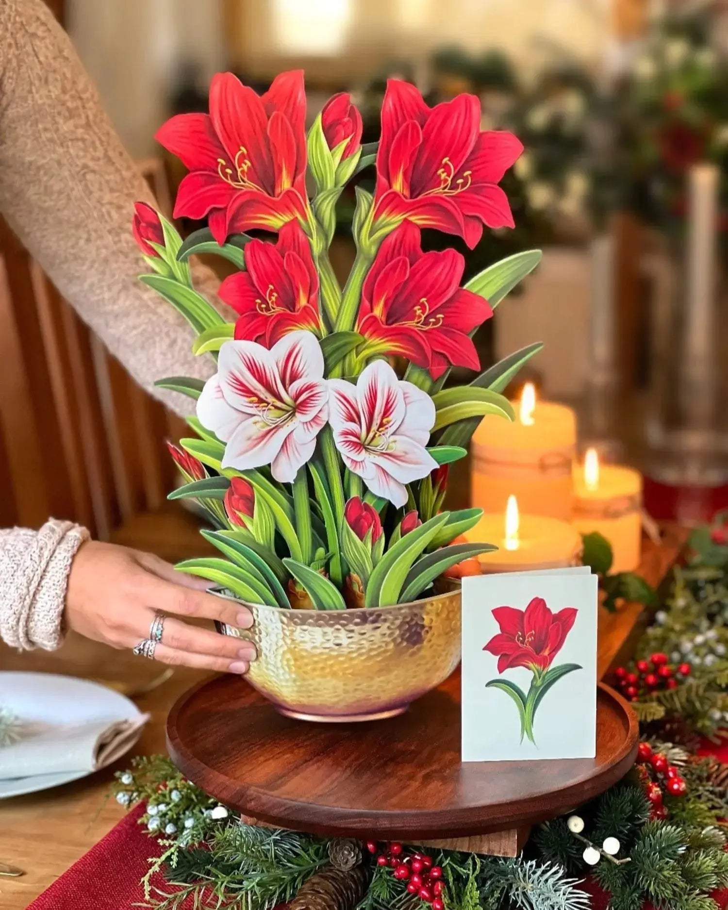 Classic Winter Wonder Bundle