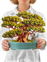 Wisdom Bonsai