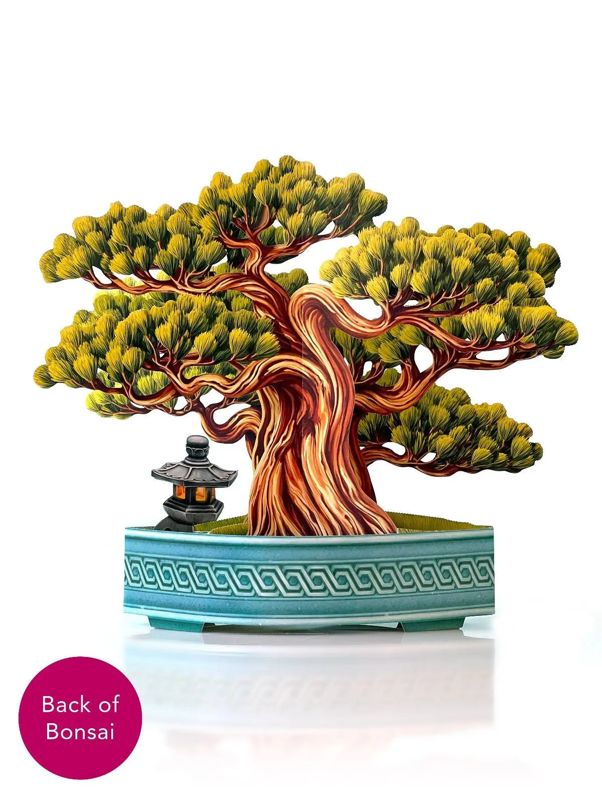 Wisdom Bonsai