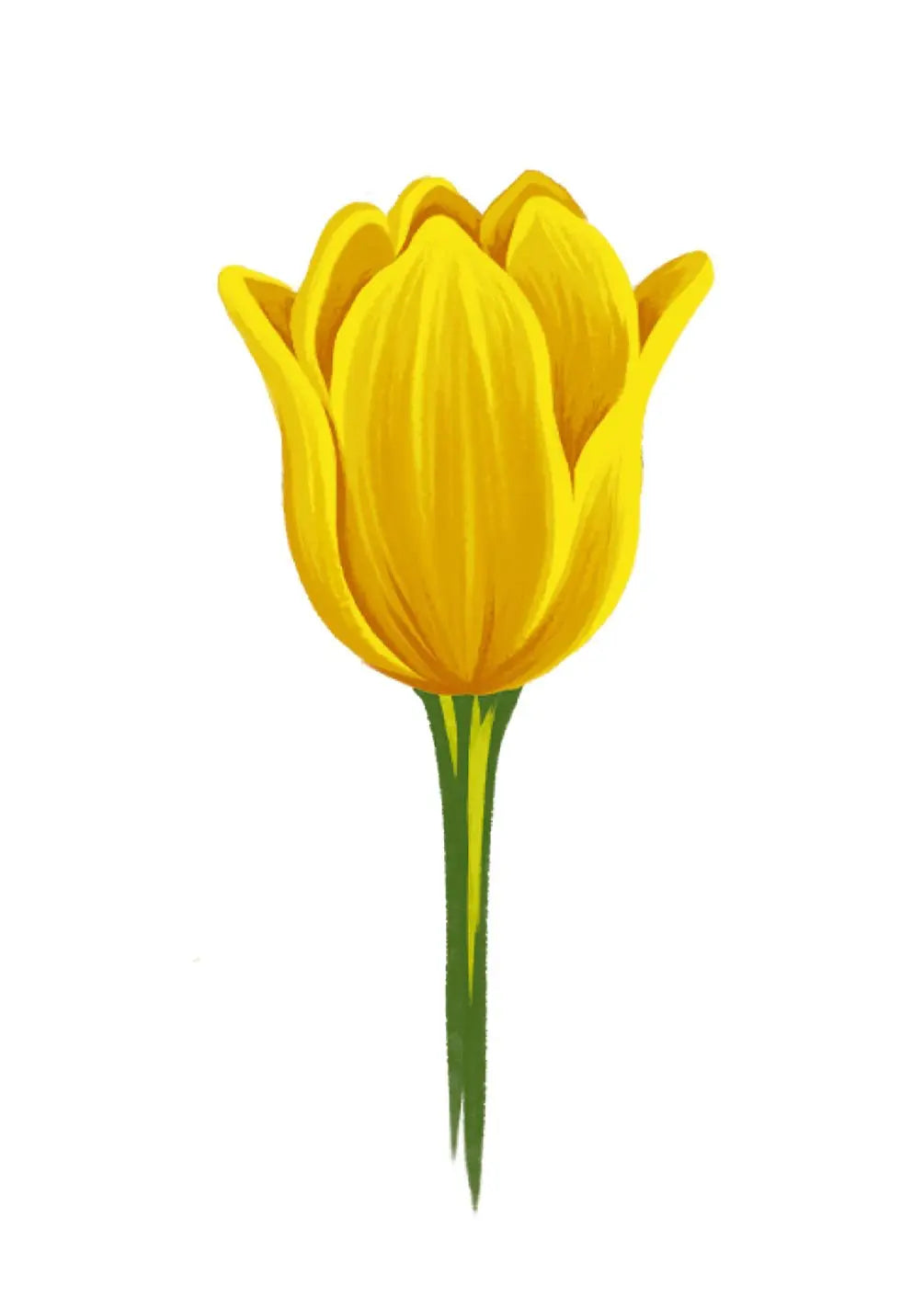 Yellow Tulip Card