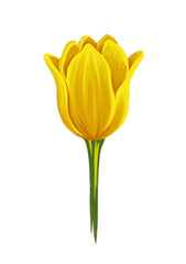 Yellow Tulip Card